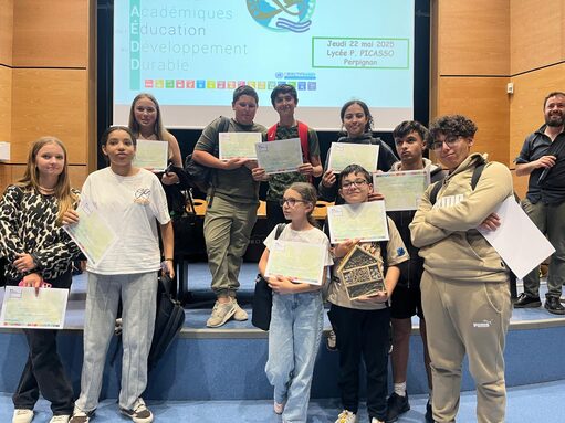 Remise des diplômes suite à la participation aux JAEDD2025 au Lycée PICASSO.