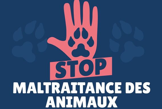 iu9-maltraitance-animale.jpg