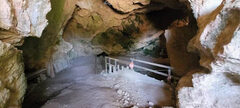 Galerie photo 